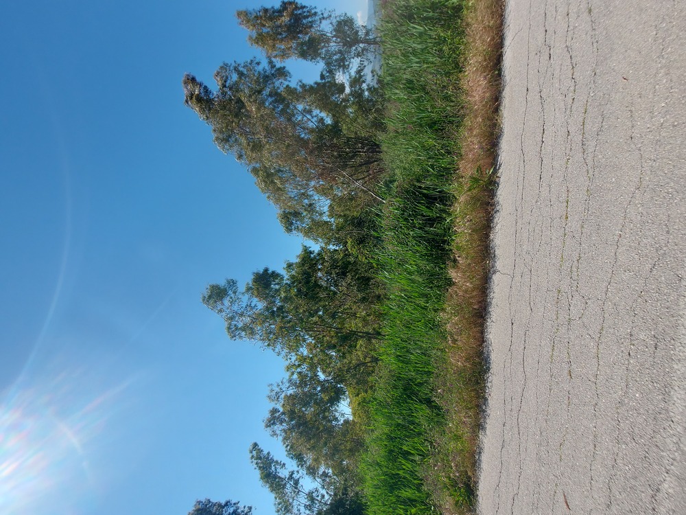photo1