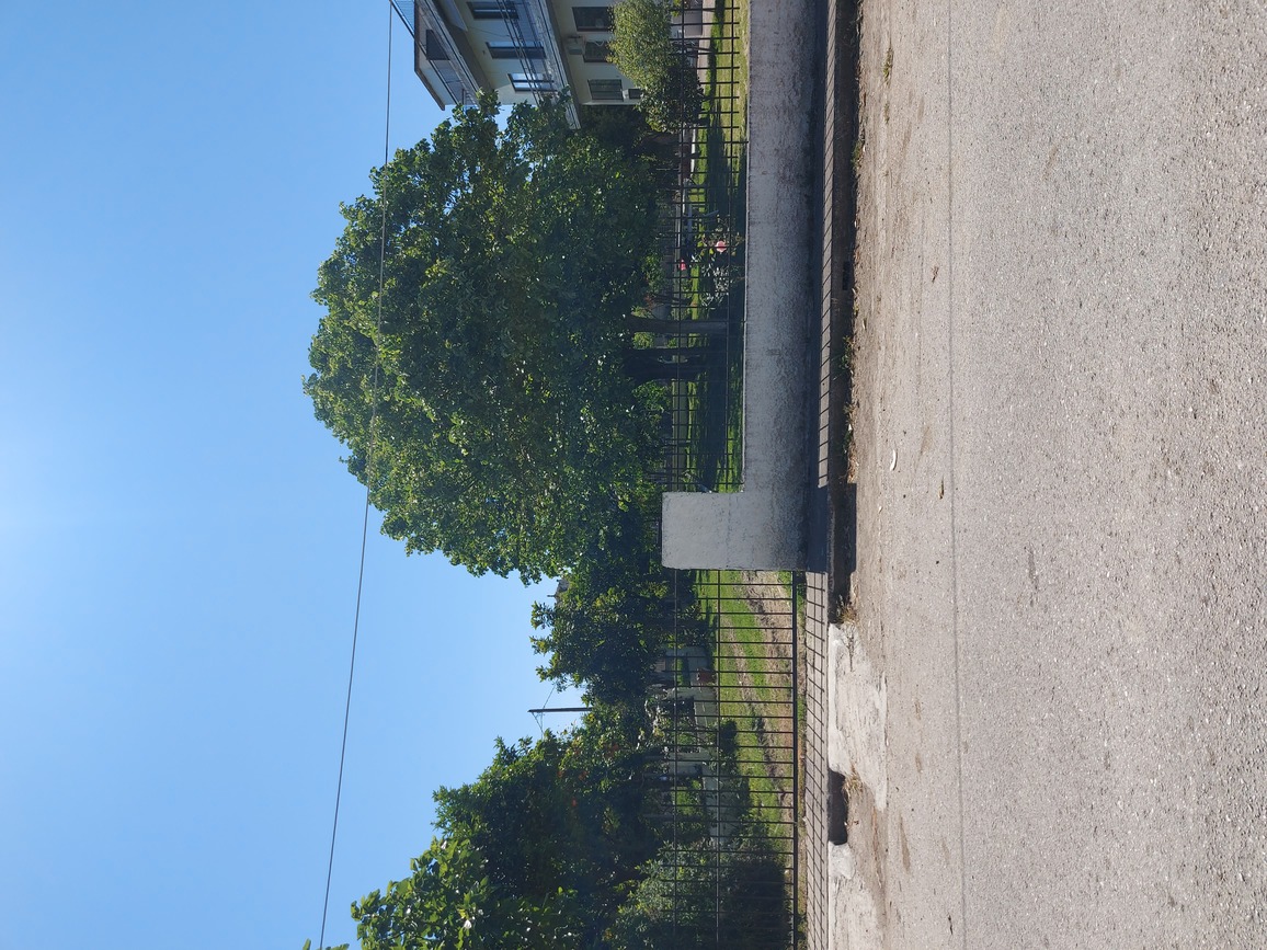 photo1