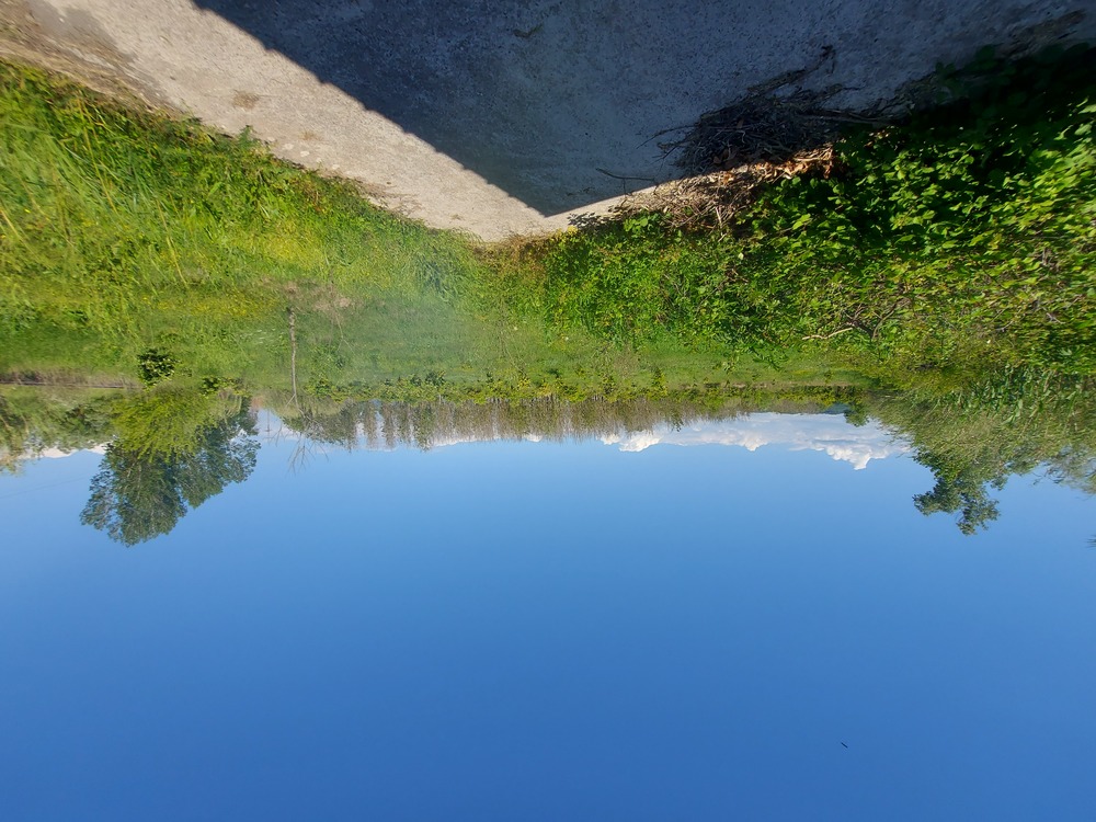 photo2