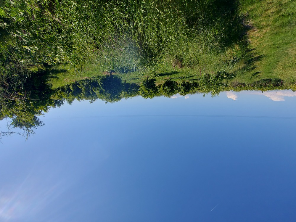 photo1