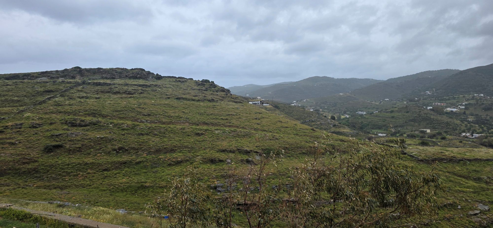 photo1
