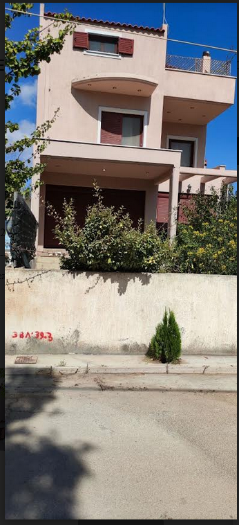 photo3
