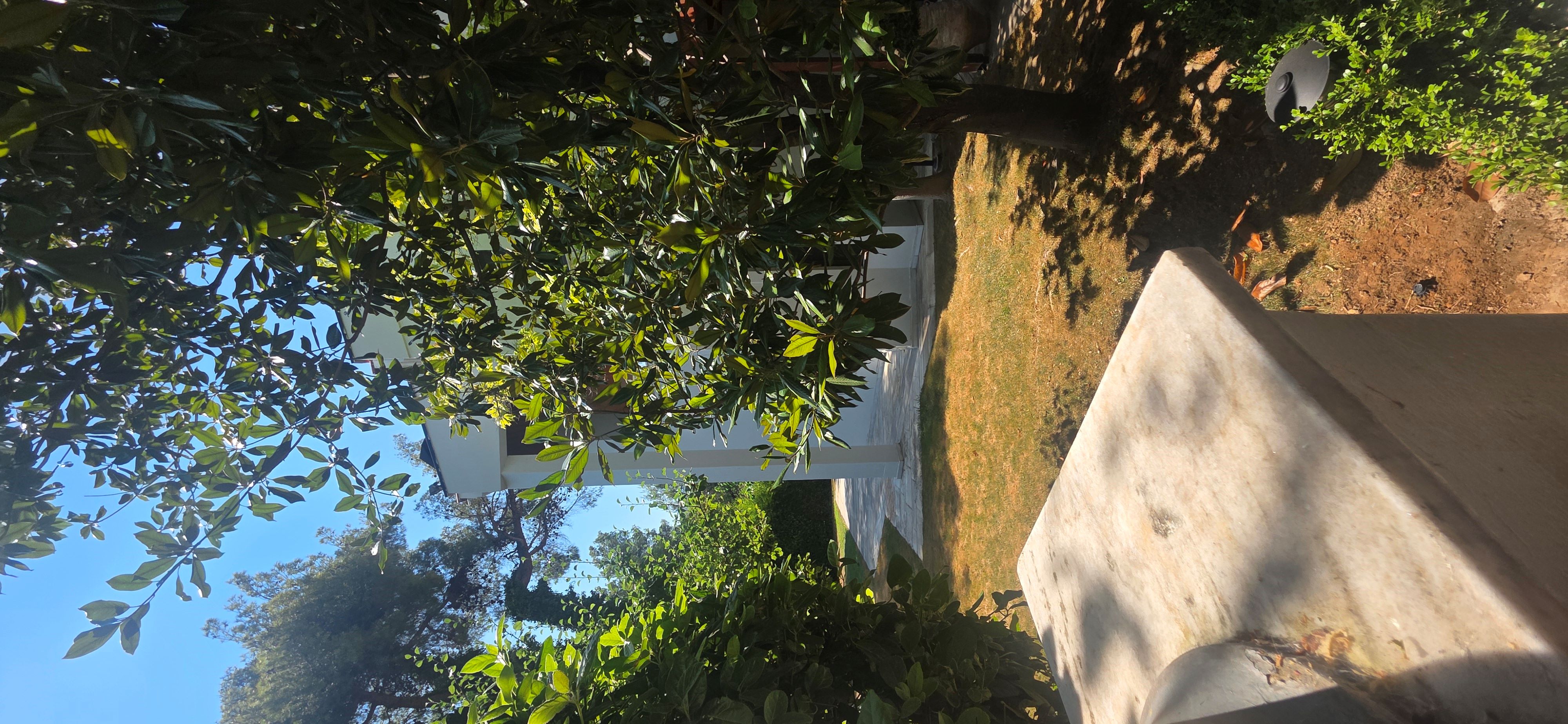 photo0