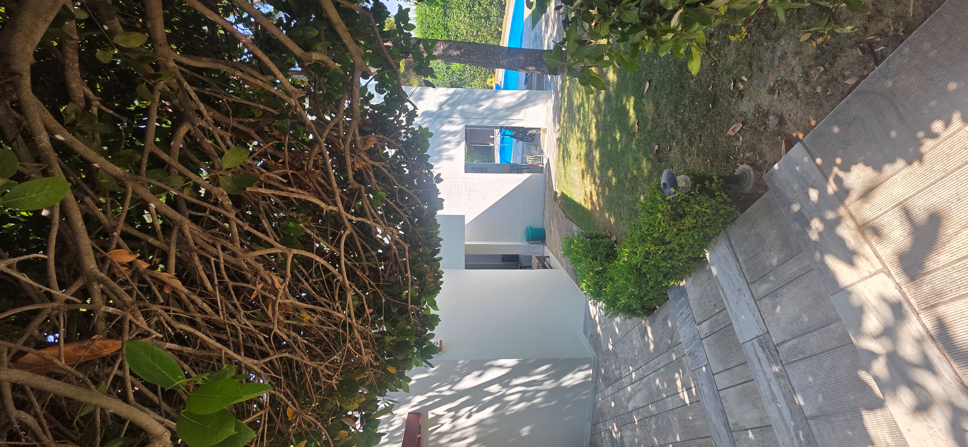 photo1
