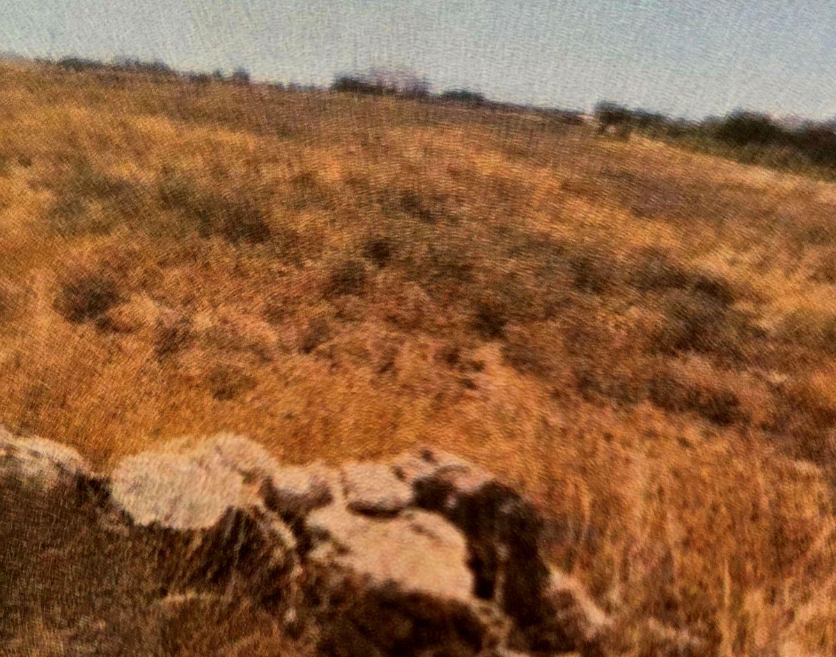photo1