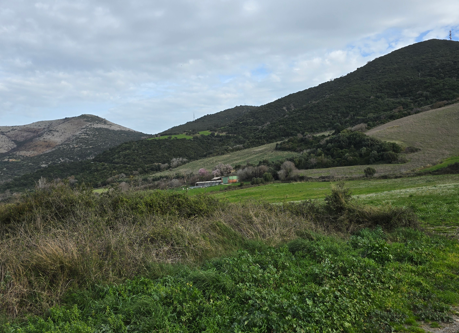 Αγροτεμάχιο  σε πλειστηριασμό Δήμος Άκτιου - Βόνιτσας