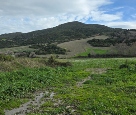 photo1