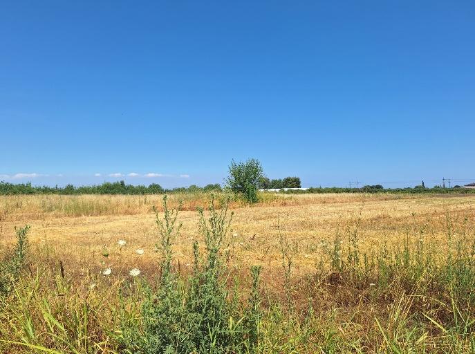 Αγροτεμάχιο  σε πλειστηριασμό Δήμος Κατερίνης