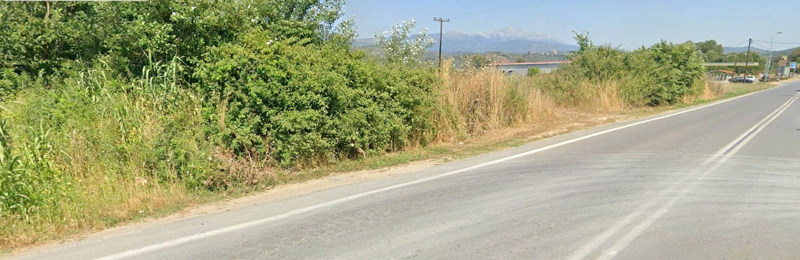 photo3