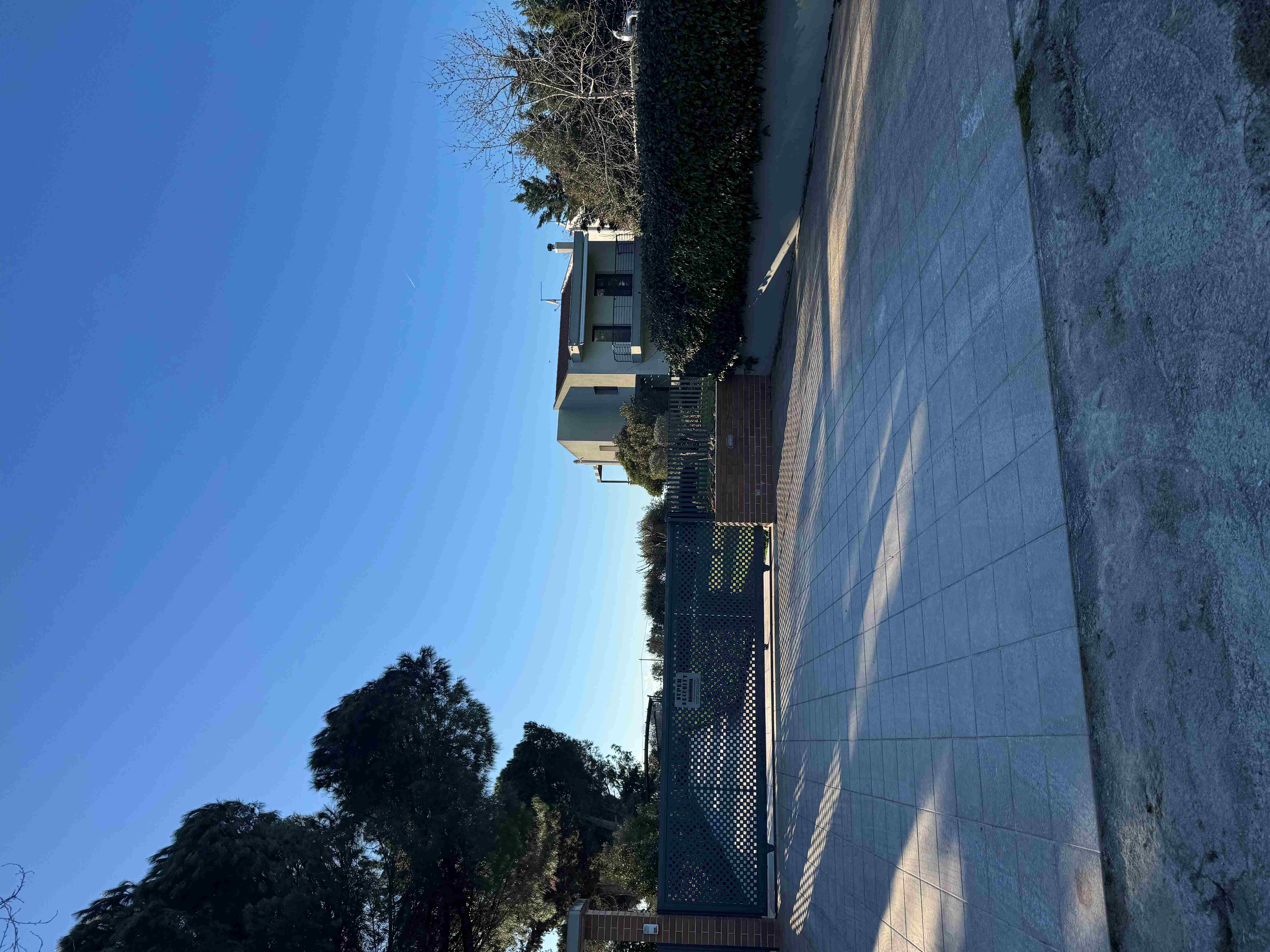 photo1