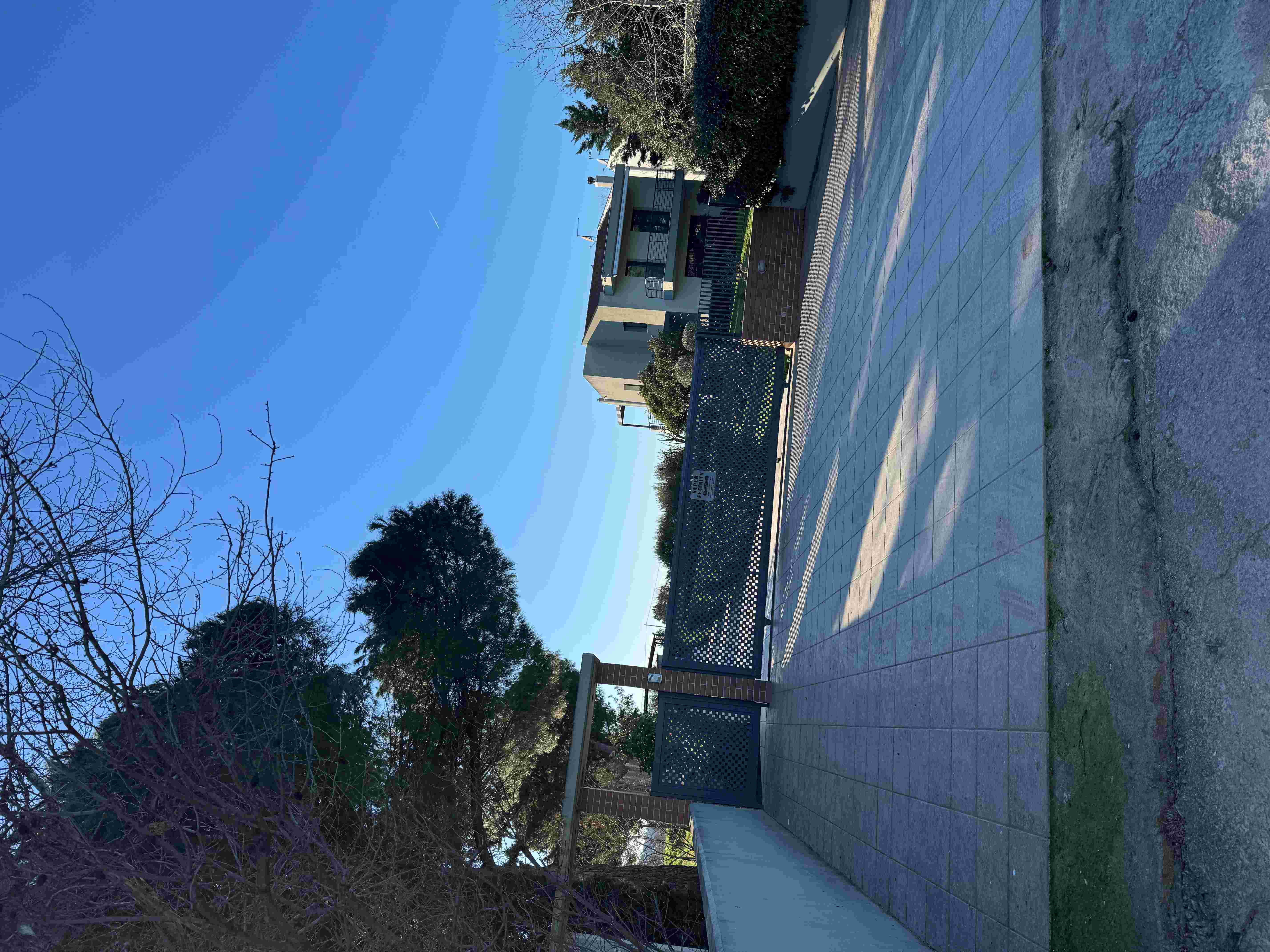 photo2