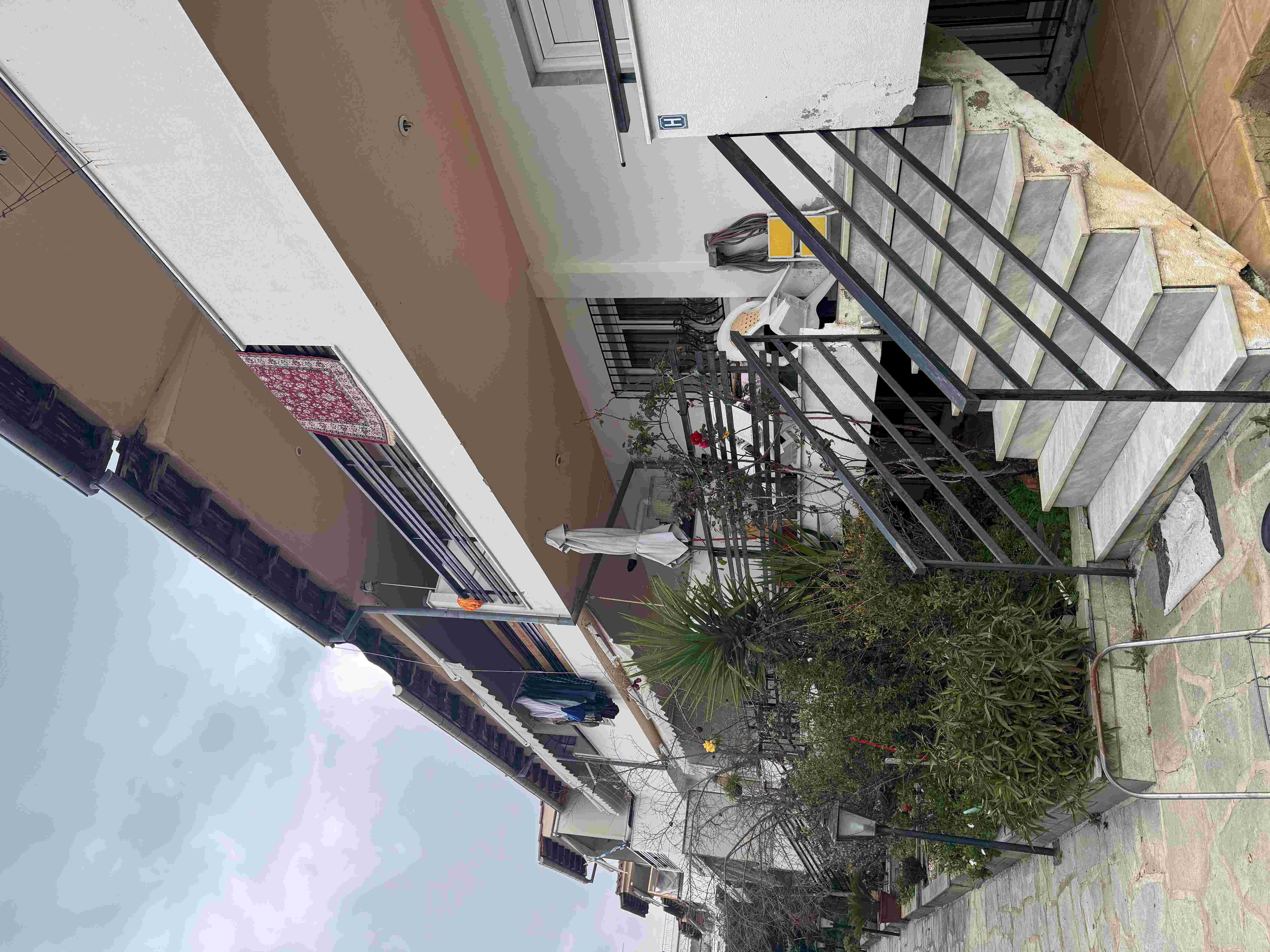 photo1