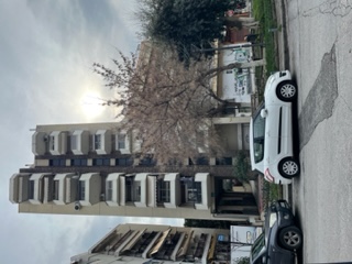photo1