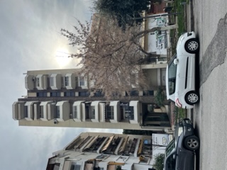 photo2