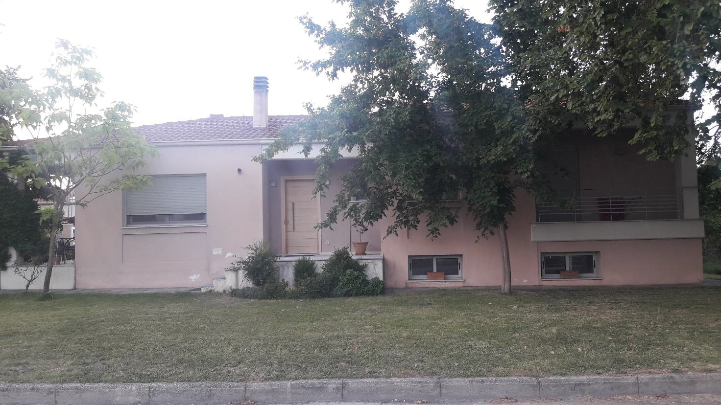 photo1