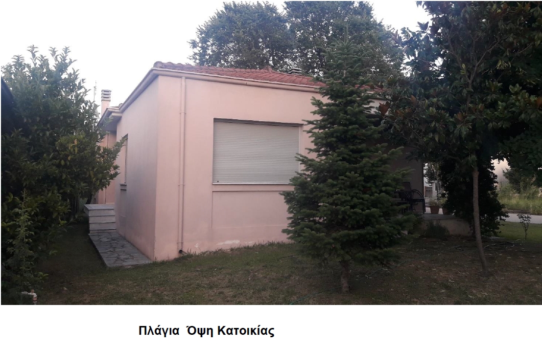 photo2