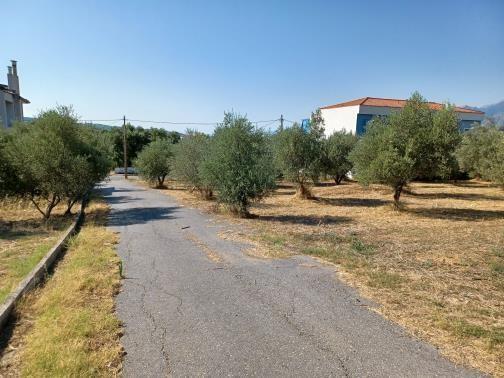 Οικόπεδο  σε πλειστηριασμό Δήμος Σπάρτης