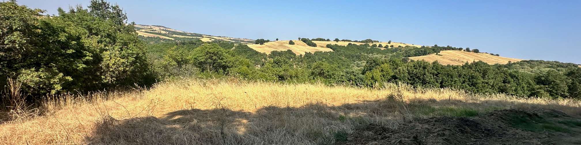 Αγροτεμάχιο 410 sq.m. σε πλειστηριασμό Municipality of Katerini