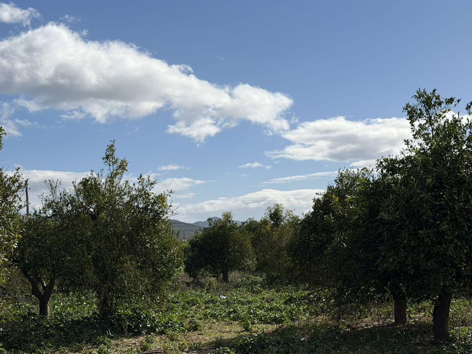 photo10