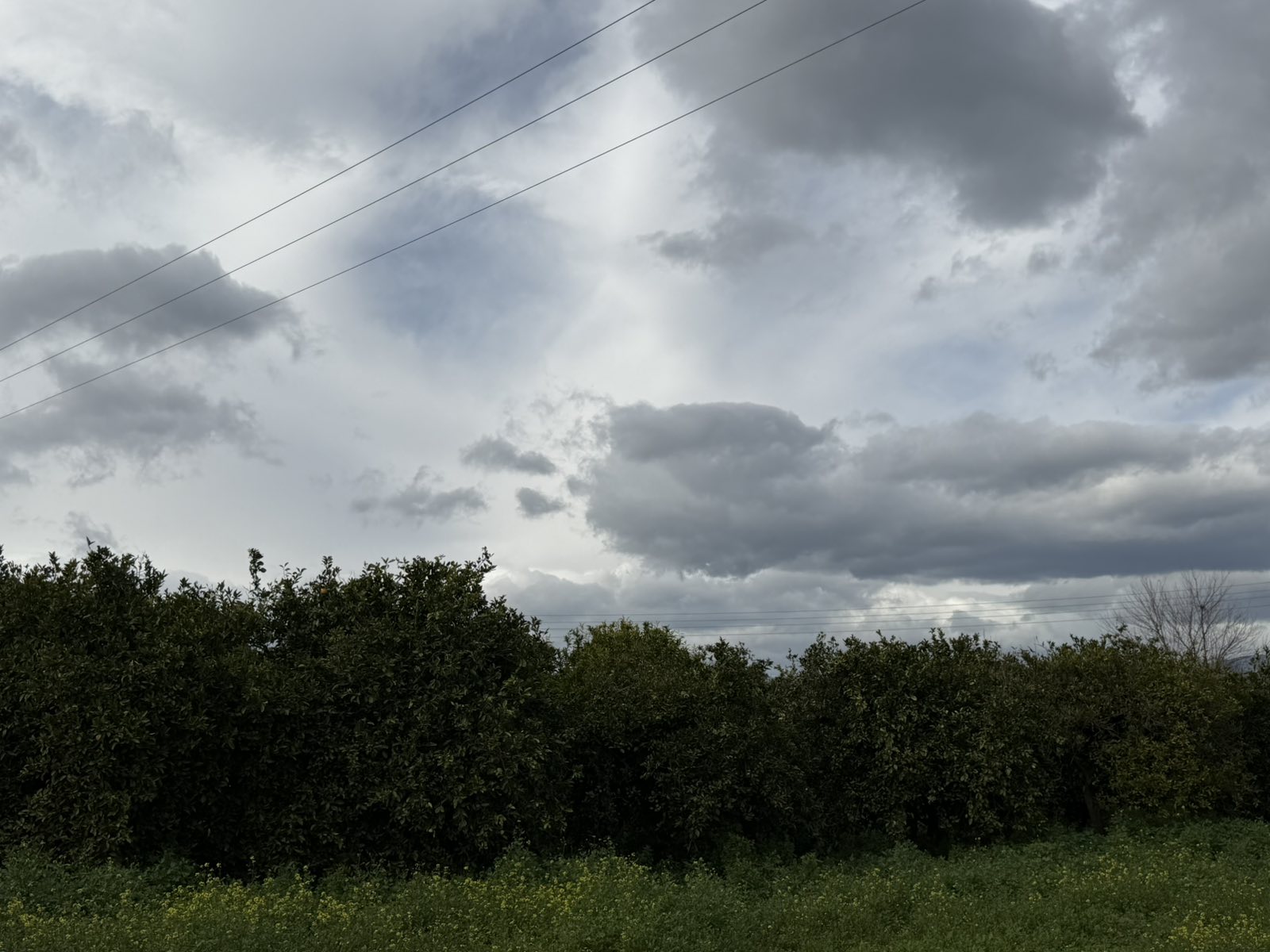 photo3