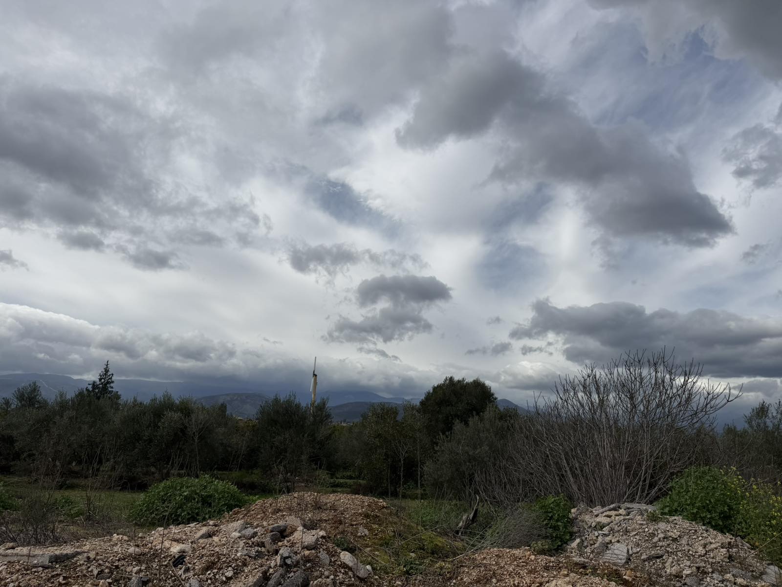 photo8