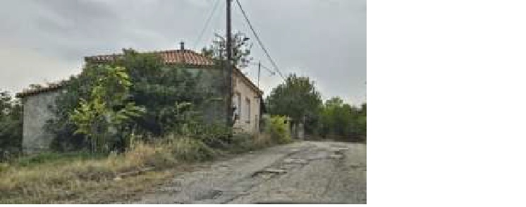 photo1