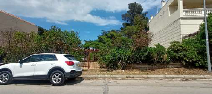 photo1