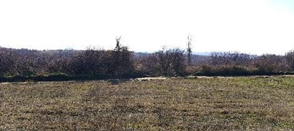 photo0