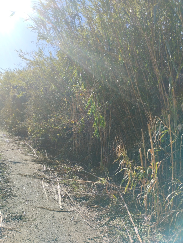photo0