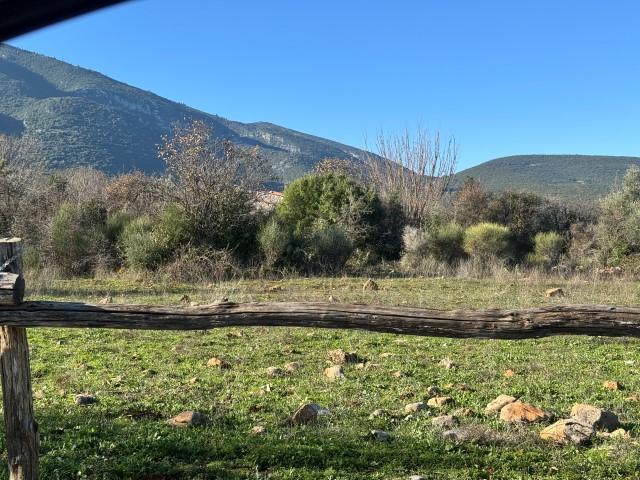 photo0