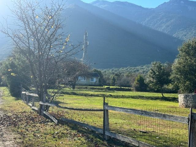 Αγροτεμάχιο  σε πλειστηριασμό Δήμος Αμφίκλειας - Ελάτειας