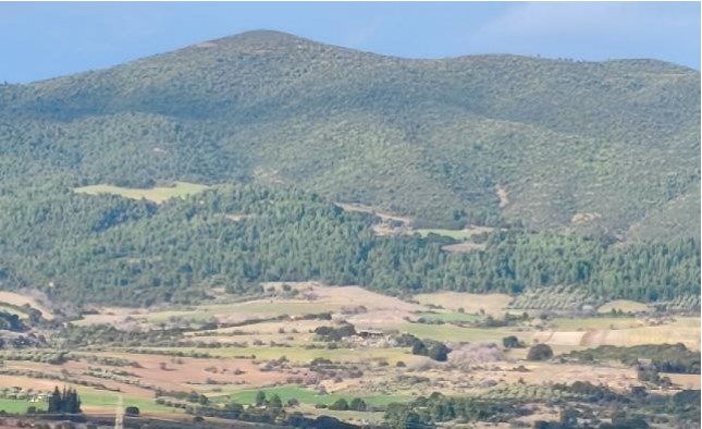 Αγροτεμάχιο  σε πλειστηριασμό Δήμος Αμφίκλειας - Ελάτειας