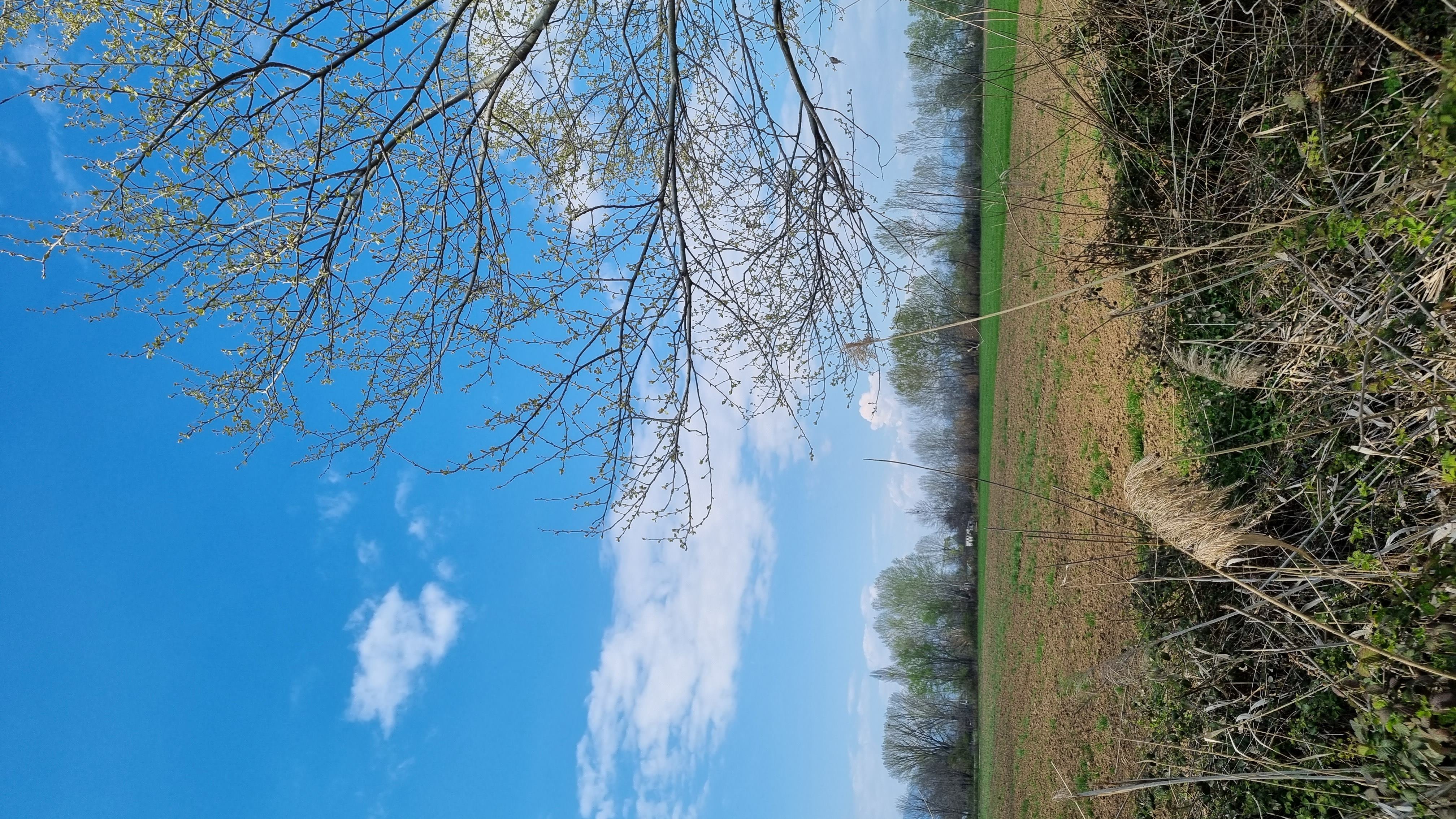 photo0