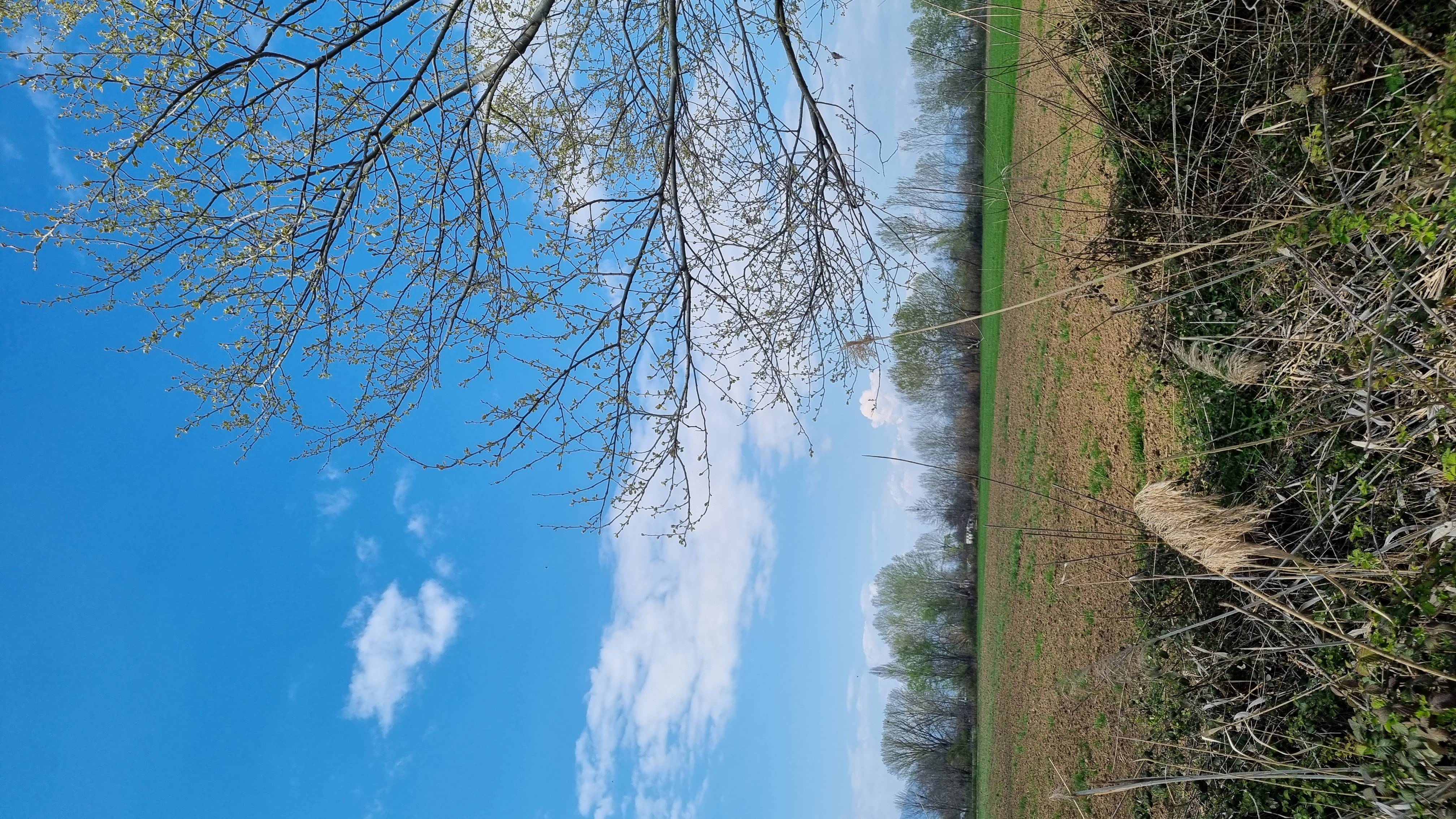 photo2