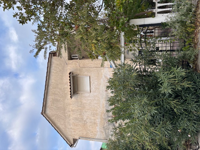 photo1