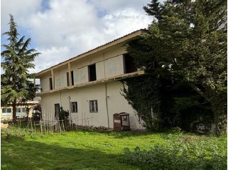 photo5
