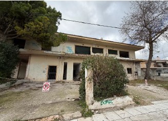 photo3