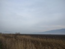 photo1
