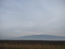 photo2