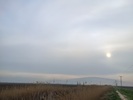 photo3