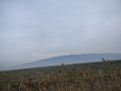 photo1