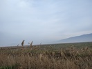 photo2