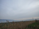 photo3