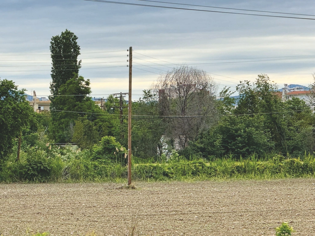 photo1