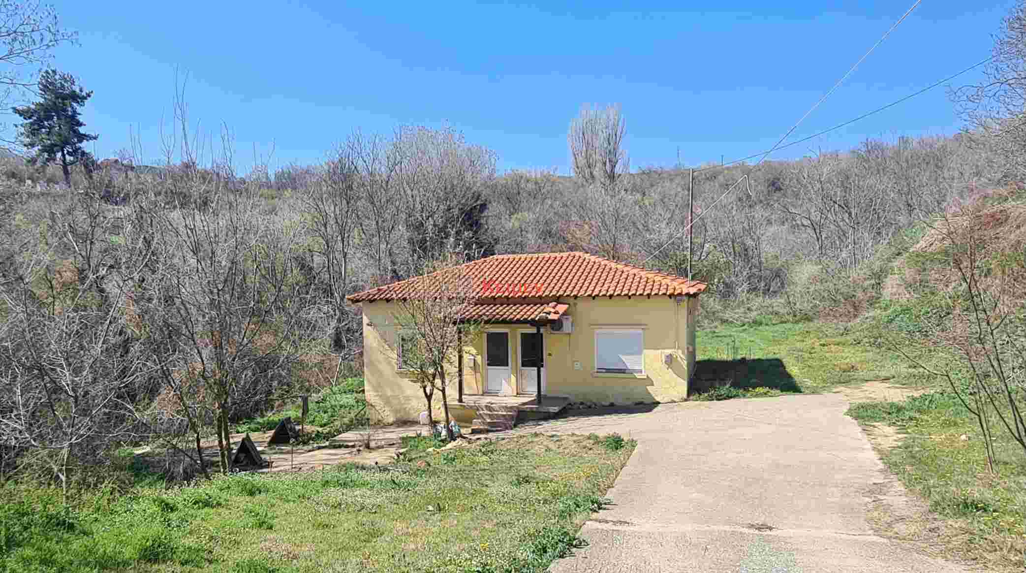 photo0