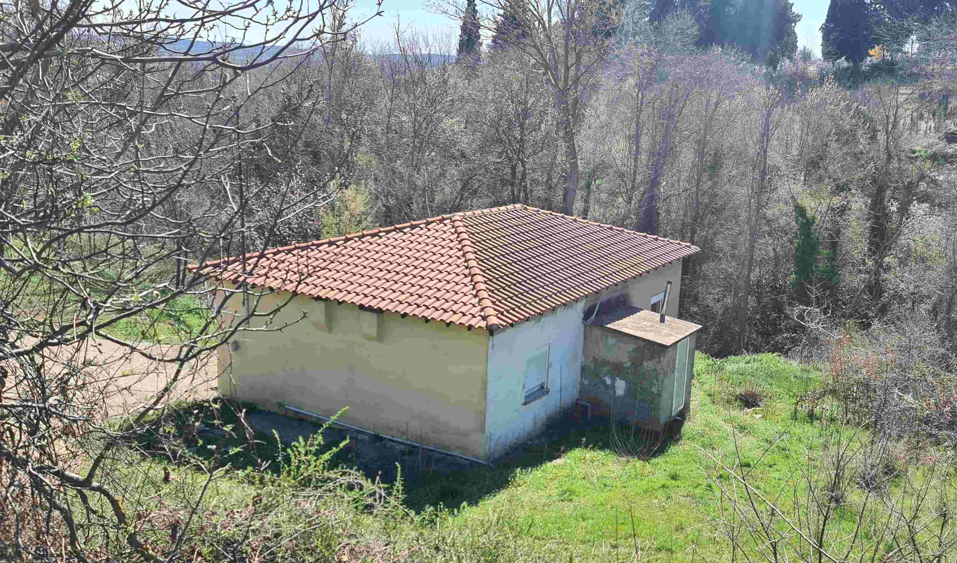 photo3