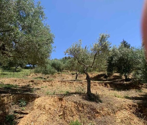 Οικόπεδο 512.45 τ.μ. σε πλειστηριασμό Δήμος Πλατανιά  