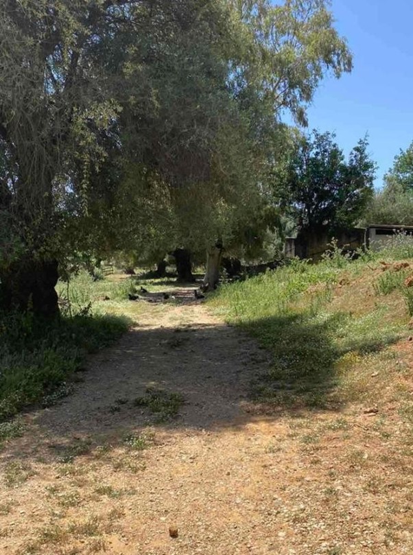 photo4