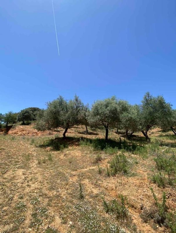 photo5