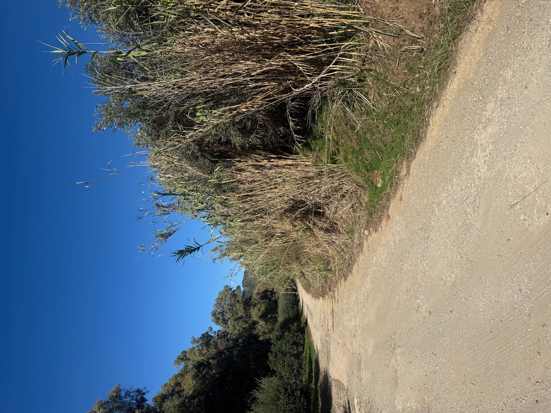 photo1